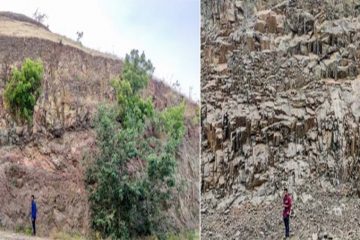 IIT Kharagpur discovers Isotopes in Fossil Trees from Deccan Trap Lavas that Indicate Wetter Future Due to Global Warming